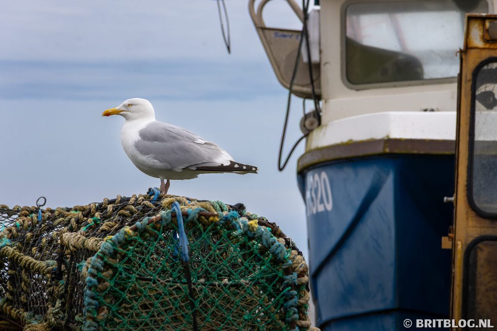 Aldeburgh Suffolk East Anglia Engeland 1