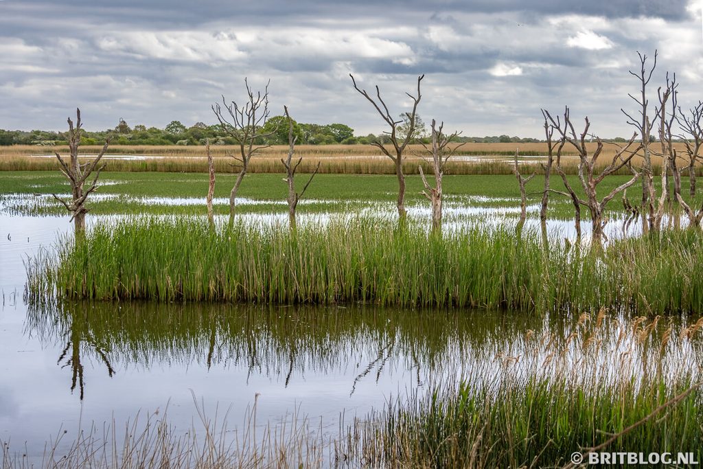 Hickling Broad and Marshes The Broads National Park Norfolk Engeland 1