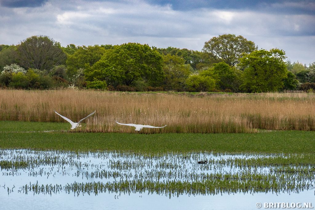 Hickling Broad and Marshes The Broads National Park Norfolk Engeland 2