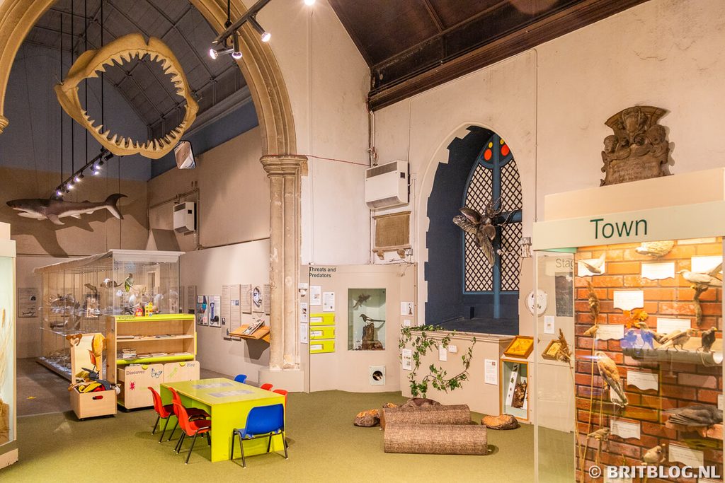 Colchester Natural History Museum Essex Engeland 3