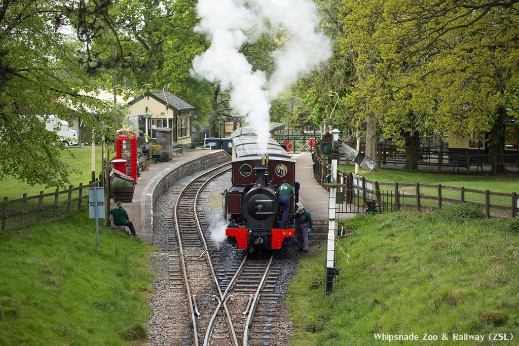 Een stoomtrein in Whipsnade Zoo, Bedfordshire