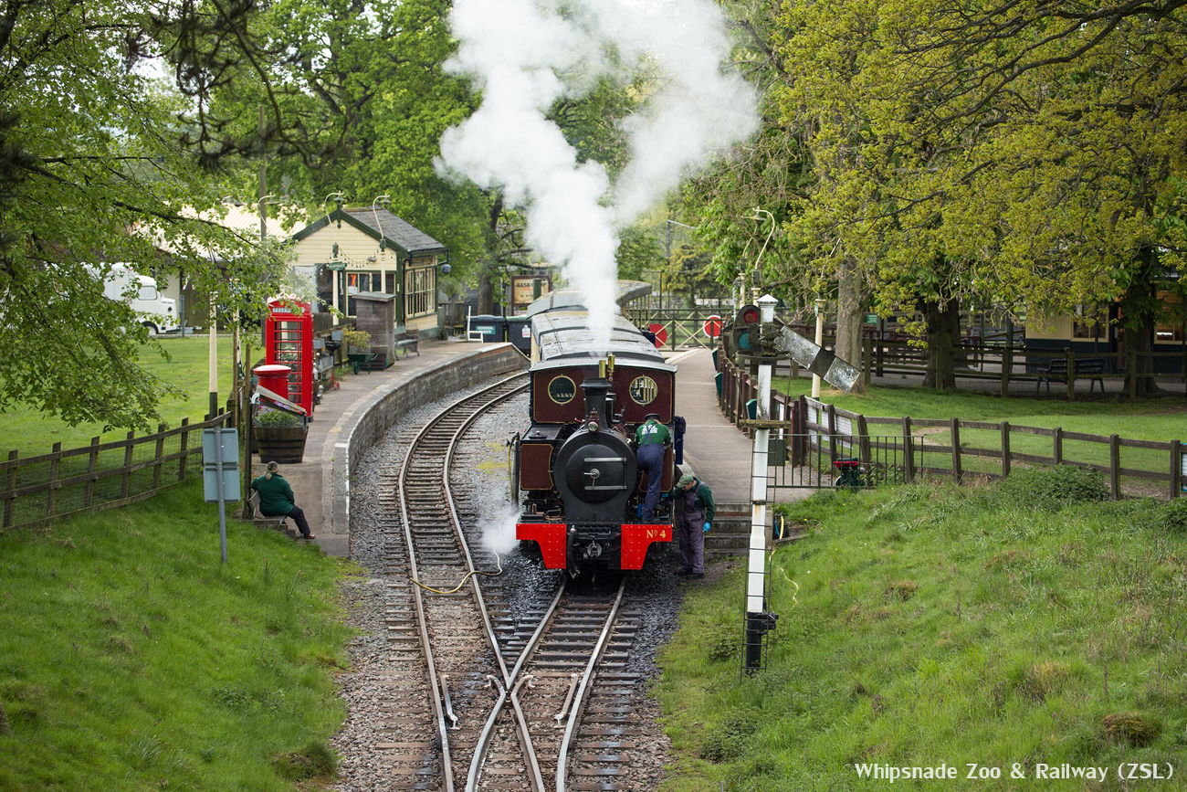 stoomtrein, Whipsnade Zoo, Bedfordshire